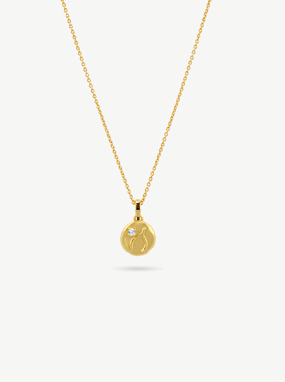 WISHBONE COIN NECKLACE